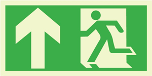 Photoluminescent Fire Exit Sign