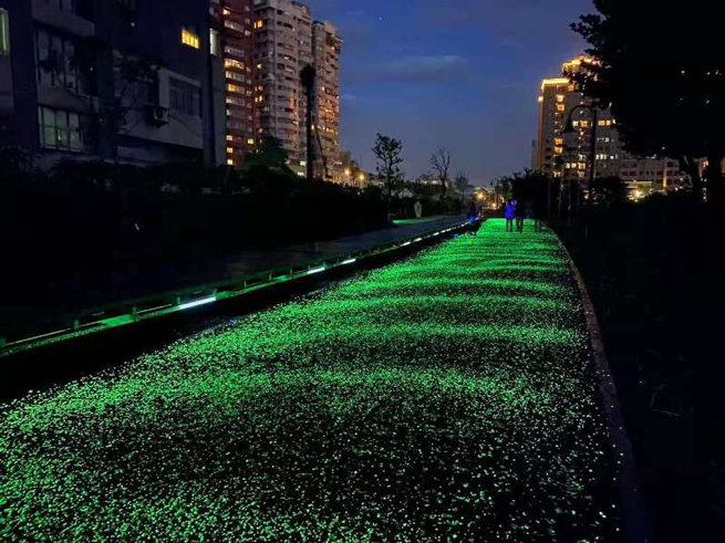 glow in dark landscape rock